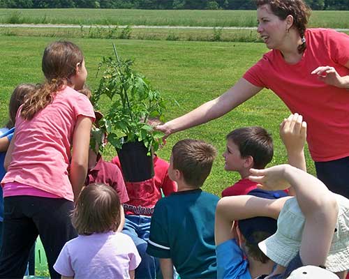 Plan your next hands-on school tour to Godfrey's Farm