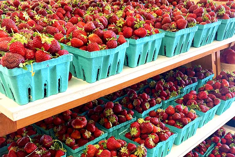 Godfrey's FarmLocally Grown Fresh Fruit, Vegetables, Flowers & Plants